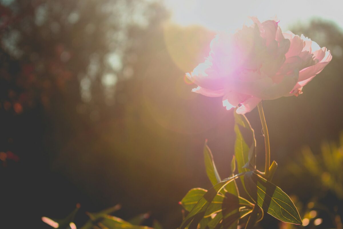 Photo by Mary Ray on Unsplash