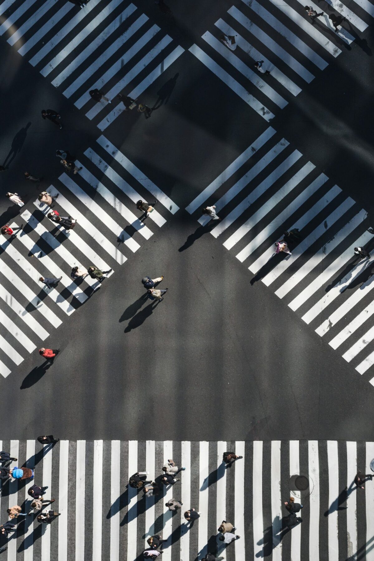 Photo by Ryoji Iwata on Unsplash