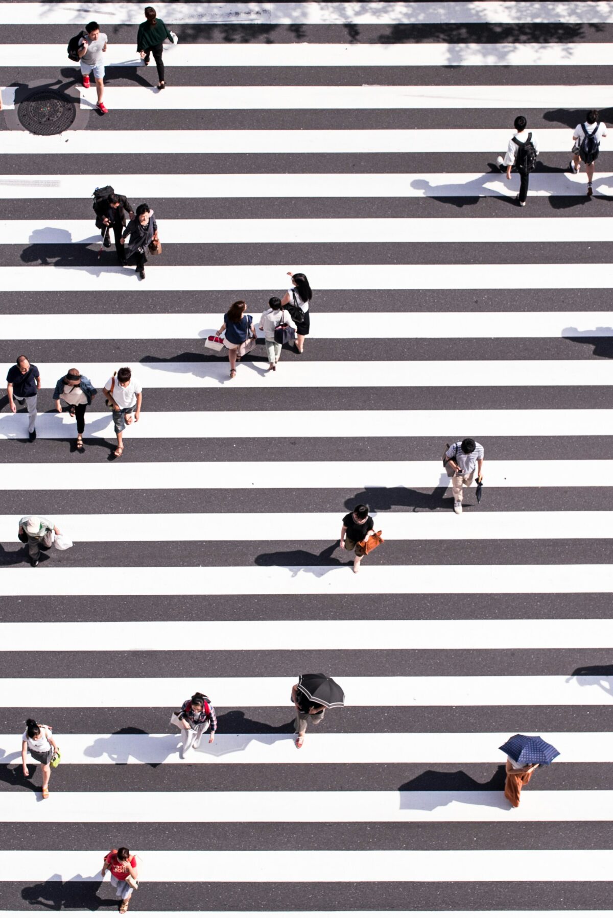 Photo by Ryoji Iwata on Unsplash